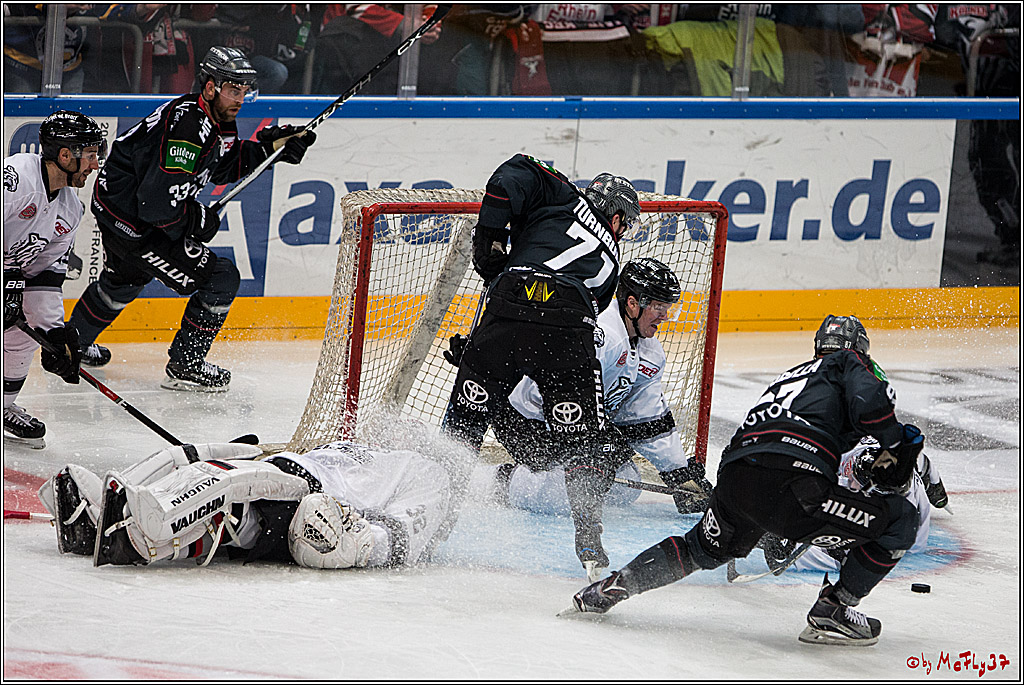 DEL, Koelner Haie - Nuernberg Ice Tiger, 24.01.2017
